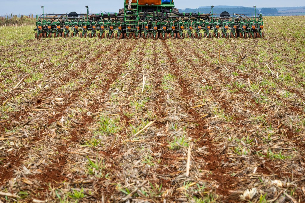 Matopiba se destaca com produções de soja, milho e algodão